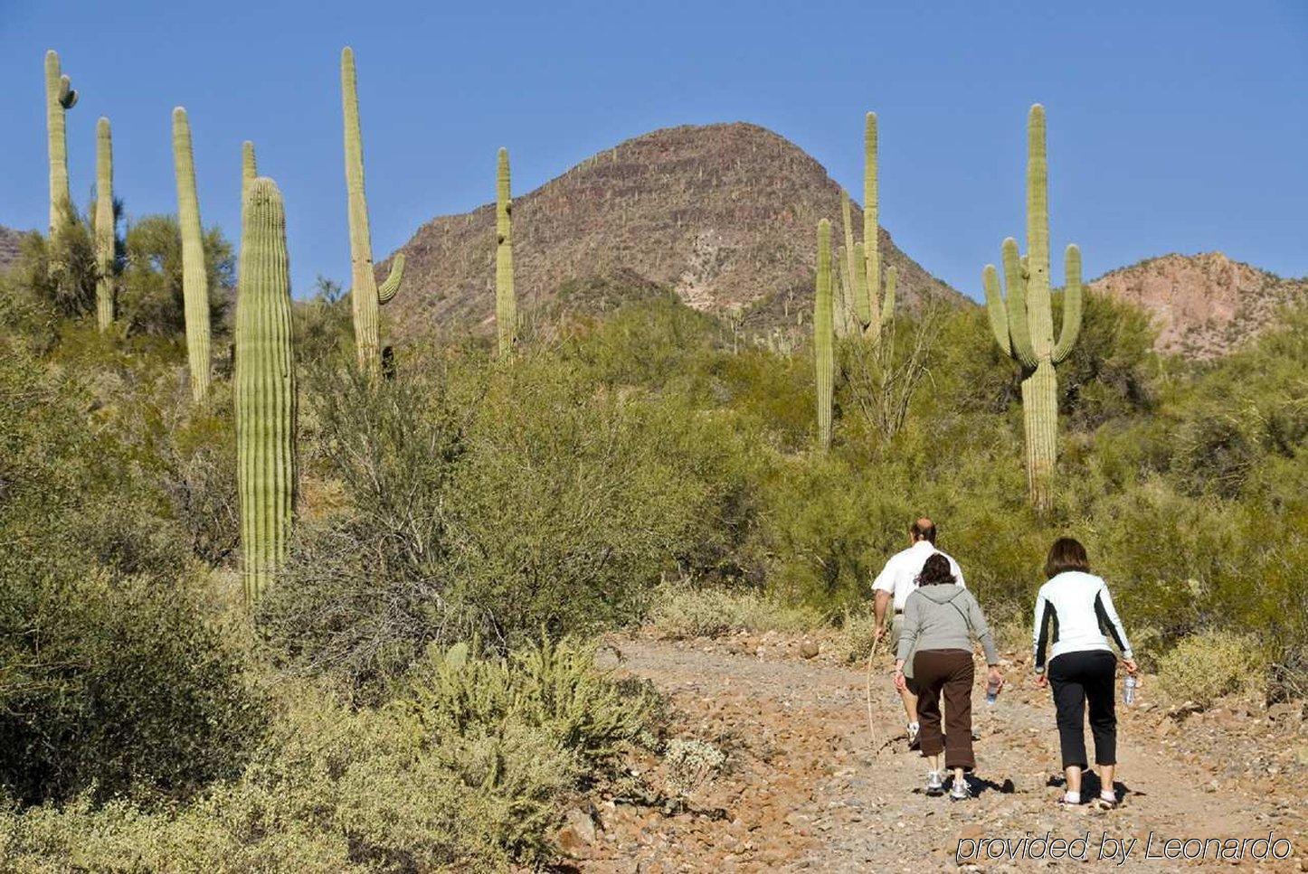 Hampton Inn&Suites Phoenix/Scottsdale Buitenkant foto
